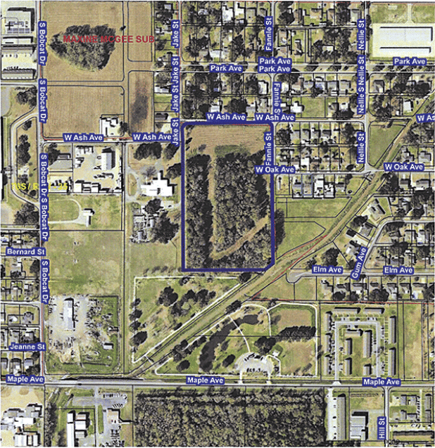 The defined area is property the city may buy located north of the Walking Park. 
