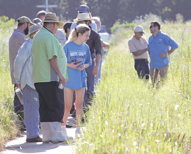 About 20 people attended the summer meeting of the Cajun Prairie Habitat Preservation Society on Saturday. A tour was held at the 10-acre Eunice Prairie site. (Photo by Harlan Kirgan)