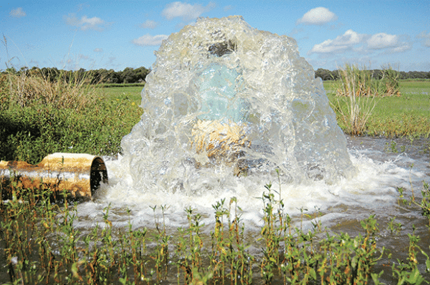 A field used for crawfish production is flooded. Some south Louisiana producers are concerned about salinity levels in their water, which have risen due to the drought this summer. This could pose problems when they flood fields in the coming weeks. (LSU AgCenter file photo)