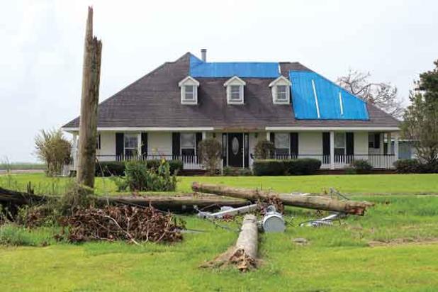 Downed power lines and leaning poles lie near a house with blue tarps on the roof after Hurricane Ida in St. James Parish, Sept. 8. (Photo by Olivia McClure/LSU AgCenter)