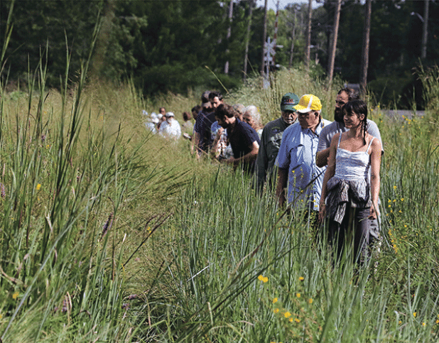 The Cajun Prairie Habitat Preservation Society held its Fall tour of the site in Eunice on Saturday morning. About 40 people attended and saw a prairie in full bloom. At right, Matthew Boutte and  Margaret Frey stop  on the walk around the 10-acre site. The society was officially founded on May 22, 1989, by prairie enthusiasts including biologists Charles Allen and Malcolm Vidrine, who taught at LSUE.  Below is the Gulf Fritillary butterfly, the state butterfly. (Photo by Harlan Kirgan)