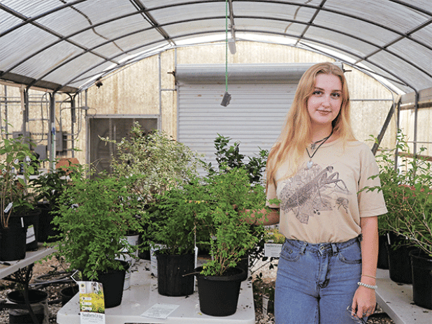 LSU graduate student Brandi Misiaszek standing around different privets and ornamentals that she has used to study the habits of the ligustrum weevil at a greenhouse at the LSU AgCenter Doyle Chambers Central Research Station. Photo by Anthony Bailey/LSU AgCenter