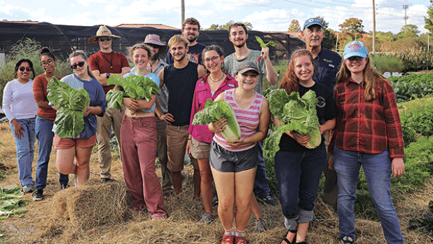 Students enrolled in Carl Motsenbocker’s Principles and Practices of Olericulture course are donating their produce to the LSU Food Pantry. More than 750 pounds have been donated so far this semester, with more to be harvested. (Photo by Annabelle Lang/LSU College of Agriculture) 
