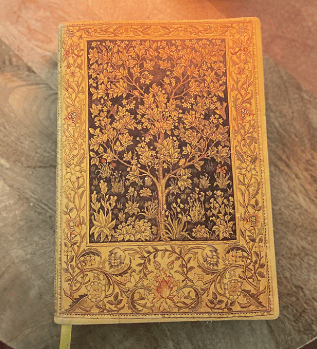 Journaling can be an excellent way to practice gratitude.