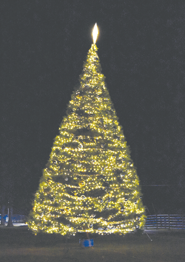 The decorated tree at night. (Photos submitted Rebekah Ogea)a