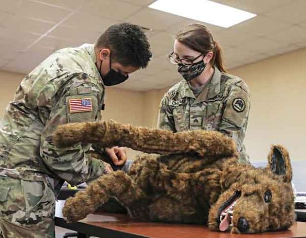 Louisiana National Guard Sgt. Karson Cormier, a medic with C Company, 199th Infantry Battalion, 256th Infantry Brigade Combat Team, applies a tourniquet to a simulated wound on a fake training K-9 during a K-9 Tactical Combat Casualty Care (TC3) course at Camp Beauregard in Pineville, Louisiana, Jan. 28, 2022. The K-9 TC3 course was part of a 10-day medic sustainment course for medics to recertify their National Registry of Emergency Medical Technicians (NREMT) and CPR certifications. (U.S. Army National Gu