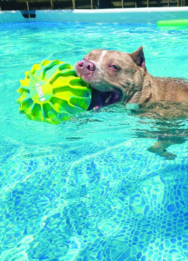 We want to see your pups!