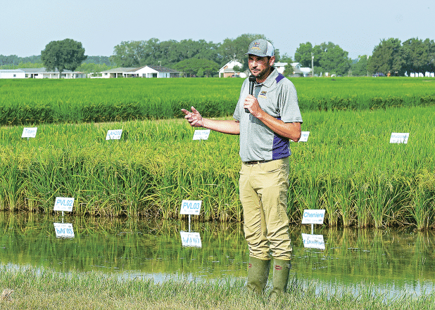 Rice Breeder Adam Famoso outlines the latest rice variety developments at the H. Rouse Caffey Rice Research Station’s 113th annual Rice Field Day last year. In 2022, the LSU AgCenter has progressed three new varieties that will soon be available for rice producers to plant across the state. (Photo by Olivia McClure/LSU AgCenter)