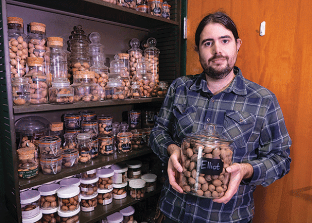Michael Polozola, LSU AgCenter fruit and nut specialist, stands with his large collection of pecans. He is holding a jar containing nuts from an Elliot pecan tree. Elliot is one of the most popular varieties grown in Louisiana and one Polozola recommends for its disease-resistant qualities. 