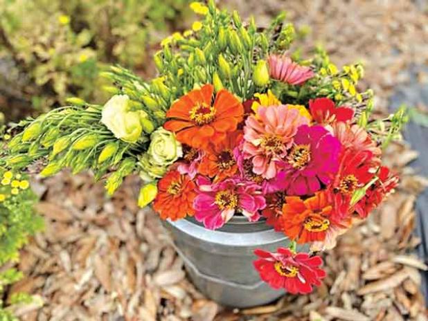 Cut flowers 