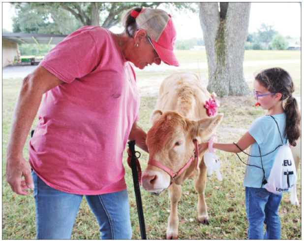 Lucy Ortego, 7, pets Cinnamon, a 9-month-old Charolais calf, at the Petting Zoo on the grounds of St. Thomas More Catholic Church during its annual Bazaar. At left is Leisha Courville of Kinder, owner of Leisha’s Feathers & Fur. 