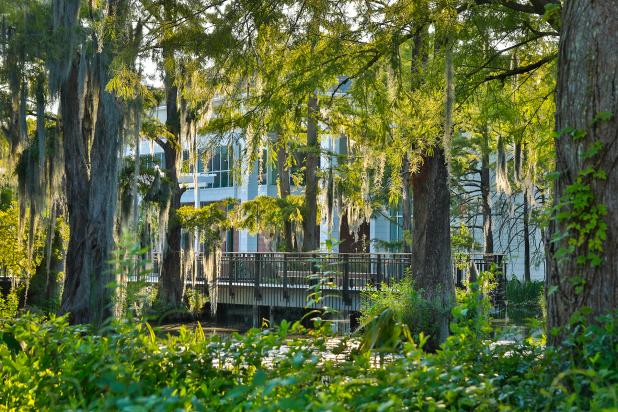 UL Lafayette campus