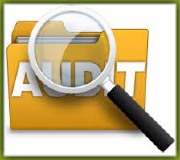 Audit report.