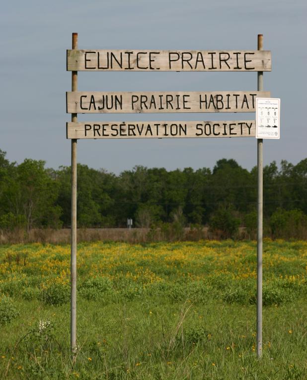 Cajun Prairie in Eunice. 