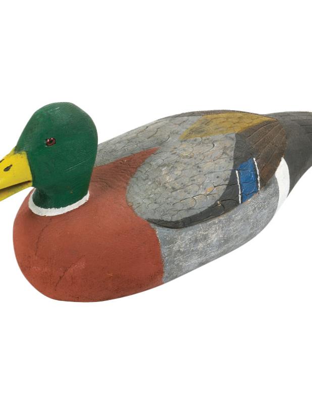 The Eunice  Recreation Department announced on its social media page the there is a need to thin the duck population at the  Eunice Community Nature Trail and Walking Park.