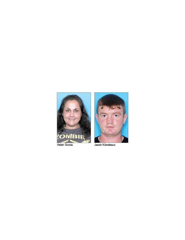 Burglary suspects.