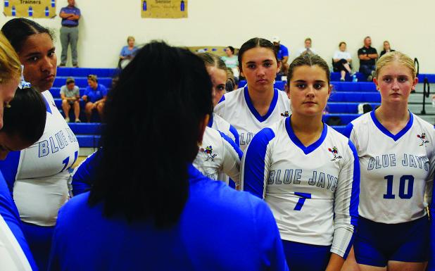 St. Ed's Lady Jays Volleyball