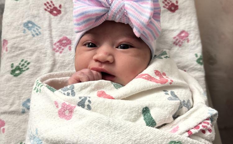 Lottie Mae Sylestine