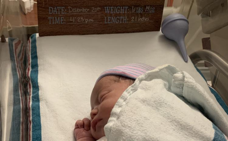 JoeZiah Blake Hollier