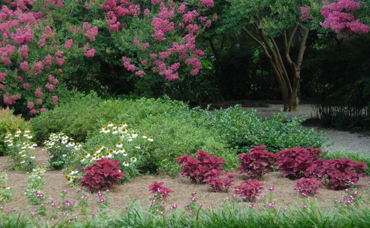 A beautiful stroll in a botanic garden can be wonderful Valentine’s Day surprise.