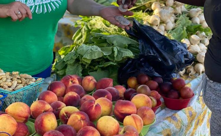 Farmers markets help support communities and Black farmers. 