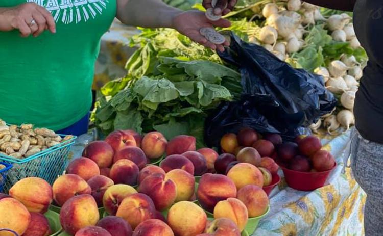 Farmers markets help support communities and Black farmers.