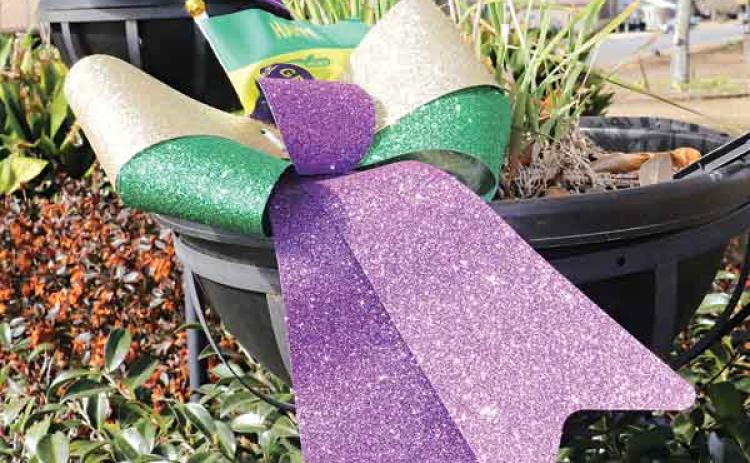 The decorations for Mardi Gras have been cropping up across Eunice for weeks as the city anticipates its first street party since 2019. This one is on Park Avenue at the Veterans Memorial on Wednesday morning. On Mardi Gras that area should be filled with people celebrating Mardi Gras. (Photo by Harlan Kirgan)