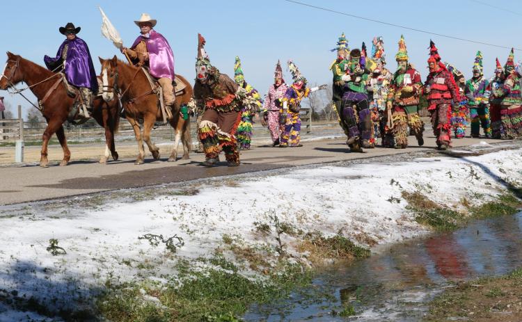 The frozen Mardi Gras of 2021. (Photo by Harlan Kirgan)