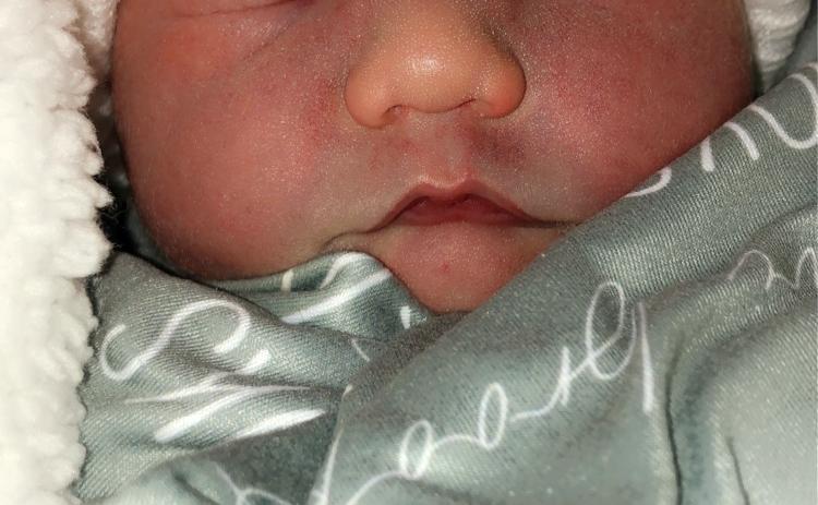 Levi Brooks Willis