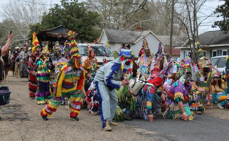 Mardi Gras Run at North 2nd