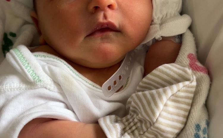 Asher Lane Howard