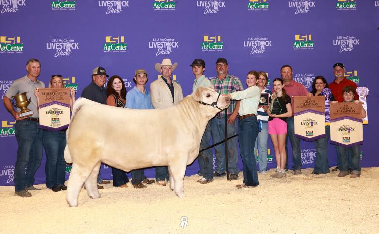 Addison Zaunbrecher, a junior at Notre Dame High School of Acadia Parish and a 4-H Club member, recently exhibited two market steers at LSU State Show in Gonzales.