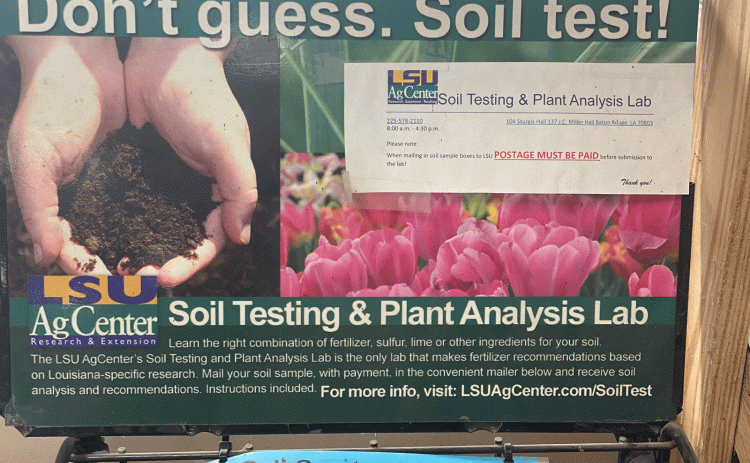 Fertilize responsibly by conducting soil tests to help determine the need for fertilizer. You can send samples to the LSU AgCenter for testing. 