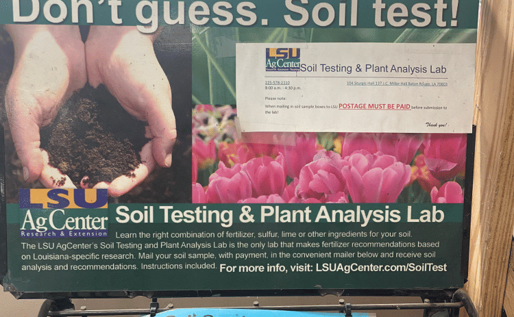 Fertilize responsibly by conducting soil tests to help determine the need for fertilizer. You can send samples to the LSU AgCenter for testing.