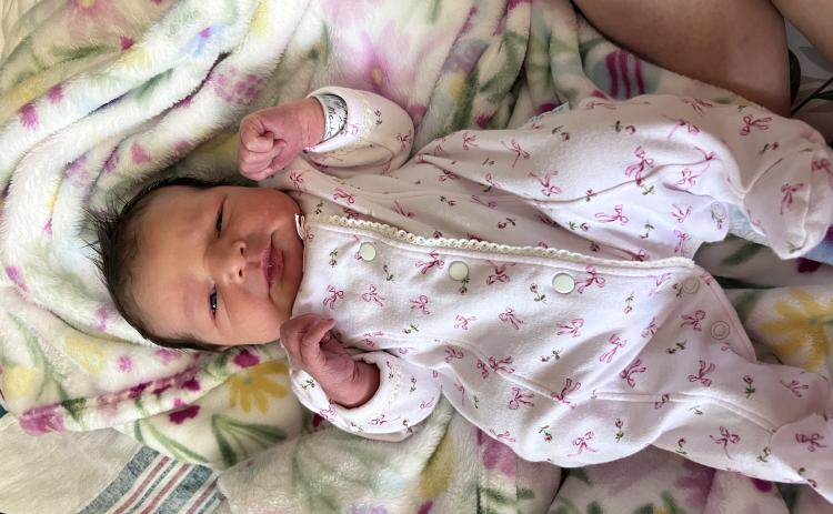 Scarlett Ann Fontenot