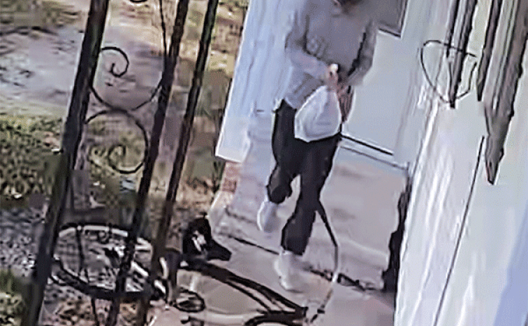 Burglary suspect