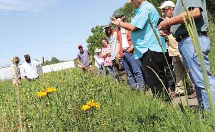 Eunice Cajun Prairie