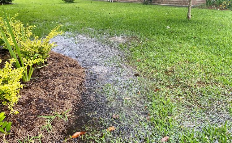 Drainage