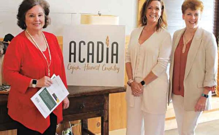 The Acadia Convention and Visitors Commission (Acadia Parish Tourist Commission) unveiled its new brand and logo during a program Tuesday morning at The Crying Eagle Lodge near Basile. Among those on hand for the event were, from left, Sharon Calcote, Byways director, Louisiana Office of Tourism; Nancy Loewer, executive director, Acadia Commission; and Wynne Waltman, part of the creative team that designed the new logo and brand. (Photos by Steve Bandy/Crowley Post-Signal)