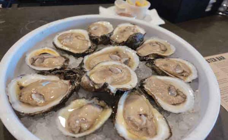 Oysters