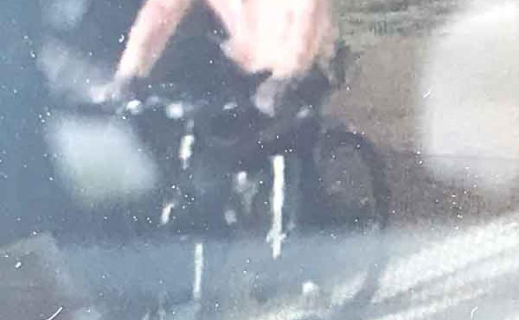 Theft suspect.