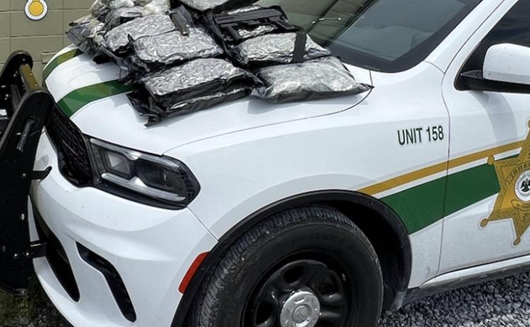 Seized marijuana on the hood of a St Landry Parish Sheriff’s patrol vehicle. (Photo courtesy of the St. Landry Parish Sheriff’s Office)