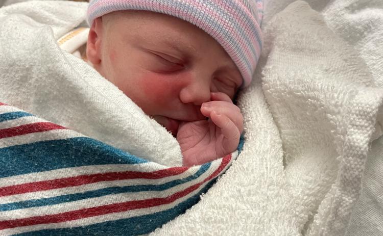 Braxton Lane Guillory