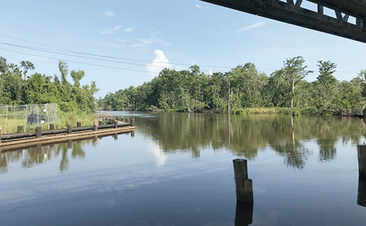 This portion of Bayou Chevreuil in St. James Parish leads to 2,000 acres of swampland the state may buy from a group that includes the former speaker of the Louisiana House of Representatives. (Greg LaRose/Louisiana Illuminator)