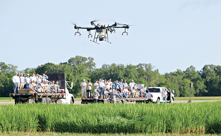 Attendees of the LSU AgCenter H. Rouse Caffey Rice Research Station’s 115th annual field day view a demonstration of a spray drone.
