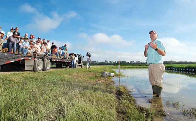 LSU AgCenter weed scientist Eric Webster