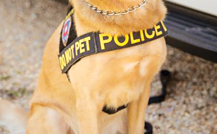 Monty, the retired State Fire Marshal K-9, dies. (Submitted photo)