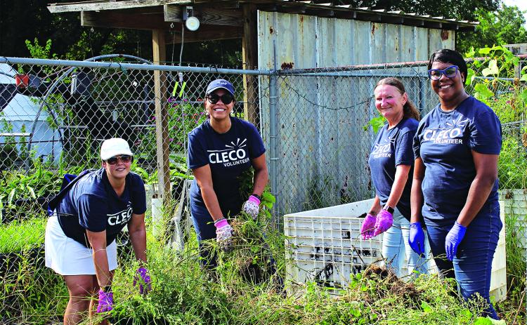 Cleco representatives volunteer at the Eunice Community Garden Wednesday morning. Weeding planter boxes from left are Candice Serie, Ivon Stutes, Erika Thompson and Latasha Malveaux.