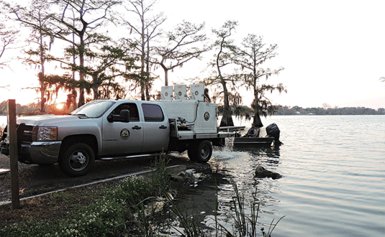 Fish stocking operation. (Louisiana Department of Wildlife and Fisheries photo)