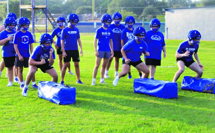 Blue Jays returned to the field to prepare tor the upcoming season. (Photo by Rhett Manuel)